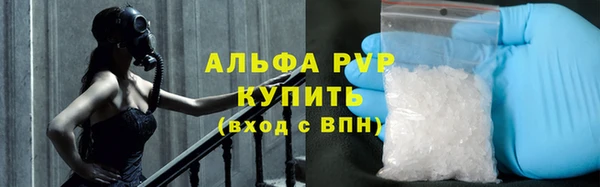 шишки Магадан