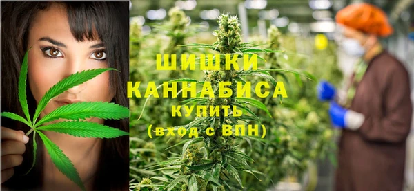 шишки Магадан