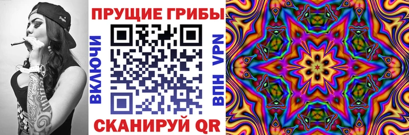 закладки  ОМГ ОМГ маркетплейс  Галлюциногенные грибы MAGIC MUSHROOMS  Опочка 