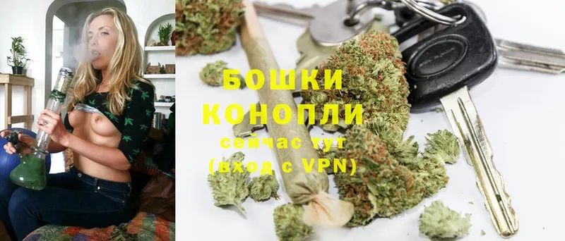 Бошки Шишки SATIVA & INDICA  Опочка 